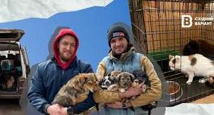 Стаття «Не можна забувати про тварин»: як волонтери евакуйовують тварин з Донеччини та допомагають ЗСУ Ранкове місто. Крим