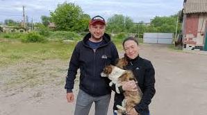 Стаття Ветеринари-волонтери з Франції допомагають стерилізувати безпритульних тварин на Одещині (фото) Ранкове місто. Крим